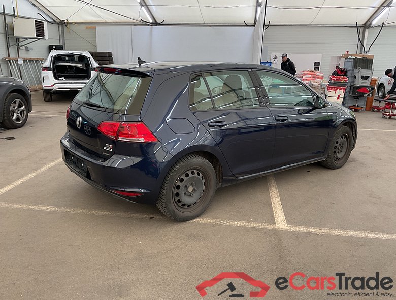 VOLKSWAGEN Golf VII Golf 1.6 CR TDi Allstar #2