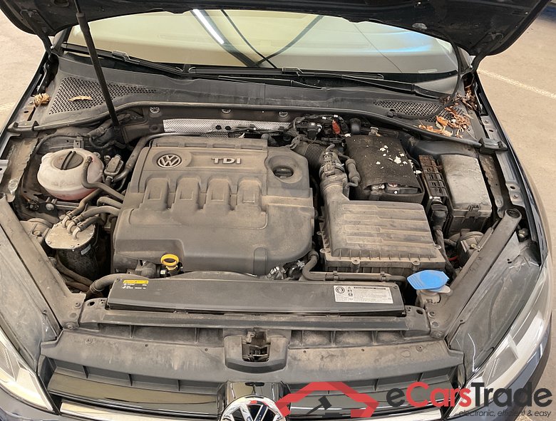 VOLKSWAGEN Golf VII Golf 1.6 CR TDi Allstar #3