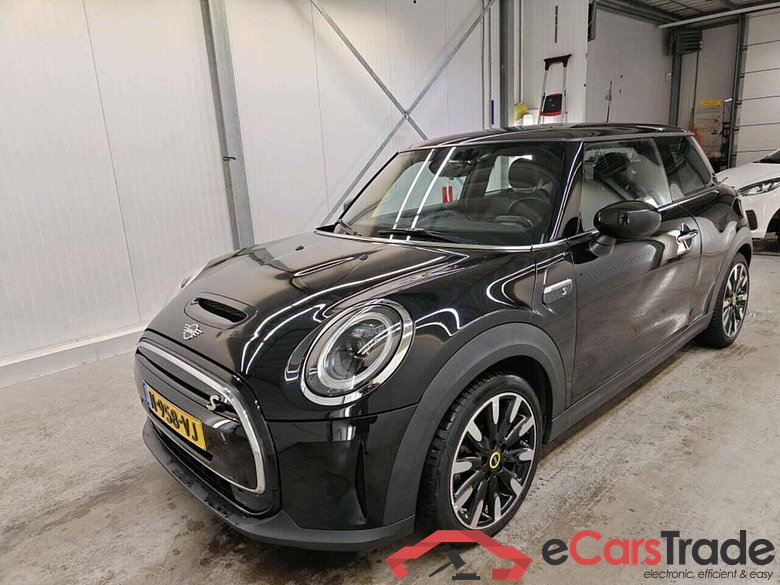 Mini Mini Electric Business Edition