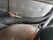 preview Opel Mokka #4