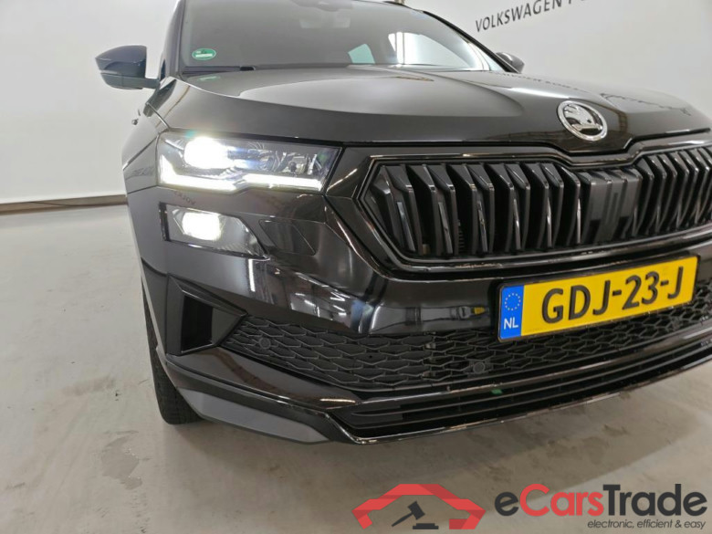 SKODA Karoq 110 kW #4