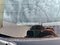 preview Volkswagen T5 Transporter #1