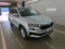 preview Skoda Karoq #1