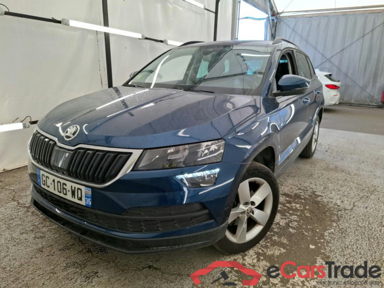 Karoq Business 2.0 TDI 115CV BVA7 E6d #1