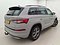 preview Skoda Kodiaq #1