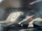 preview Renault Clio #3
