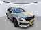 preview Skoda Kodiaq #4
