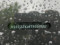 preview Seat Ibiza #1