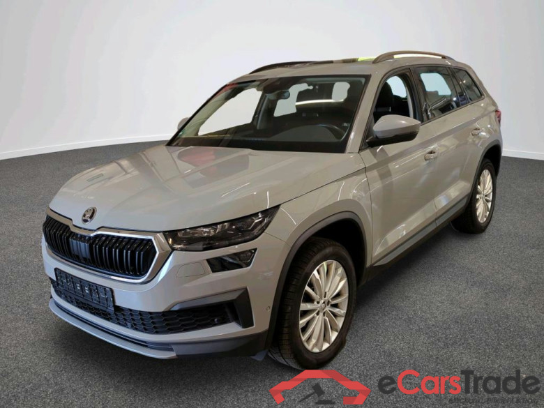 Kodiaq Tour 2.0 TDI 110KW AT7 E6d