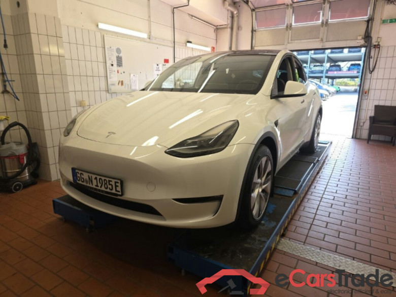 TESLA Model Y  #2