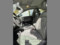 preview Audi A5 #5