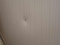 preview Ford Transit Custom #5