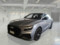 preview Audi Q8 #0