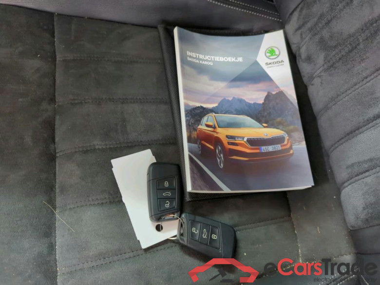 SKODA Karoq 110 kW #6
