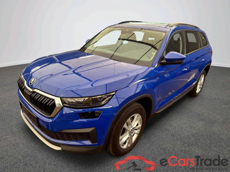 Kodiaq Ambition 2.0 TDI 110KW AT7 E6d #1