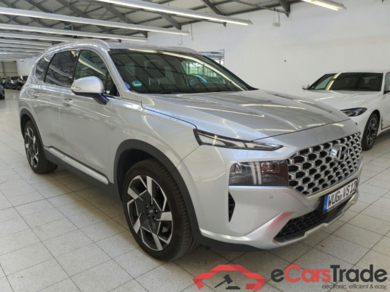Hyundai Santa Fe  #1
