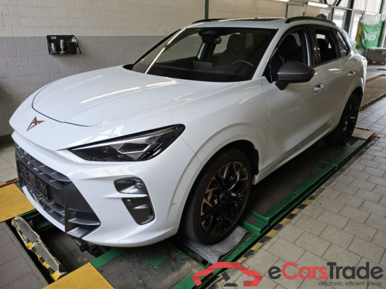 Cupra Terramar (KP1)(09.2024->) DE - SUV5 2.0 TSI EU6e, VZ 4Drive, 2024 - 2026
