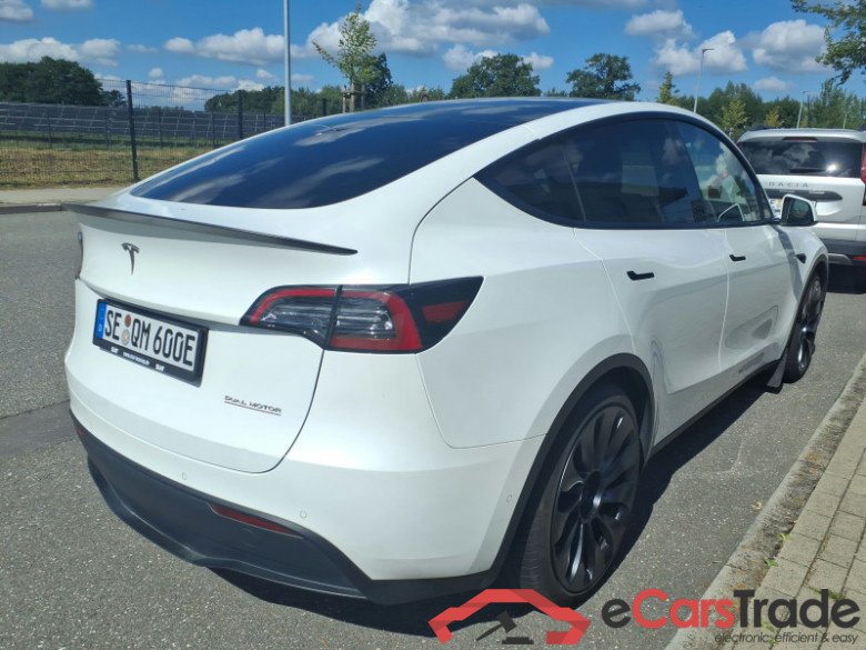 TESLA Model Y  #3