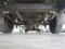 preview Mercedes Sprinter #4