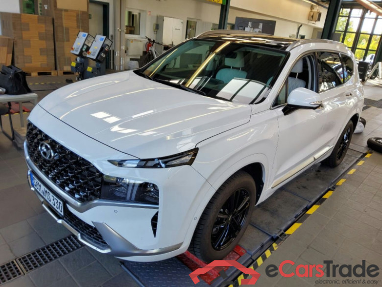 Hyundai Santa Fe  #1