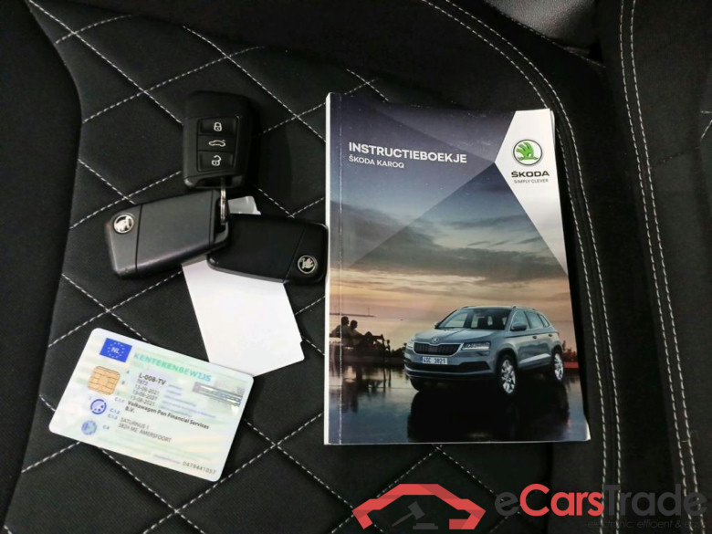 SKODA Karoq 110 kW #6