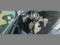 preview Volkswagen Passat #5