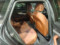 preview Audi A4 #4