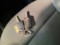 preview Fiat Panda #5
